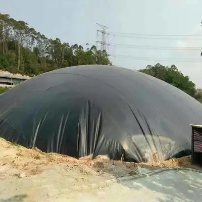 Hdpe Glad Geomembraan Voor Biogas Digester Hdpe Vel Flexibele Biogas 3Mm Dikte Hdpe Geomembraan