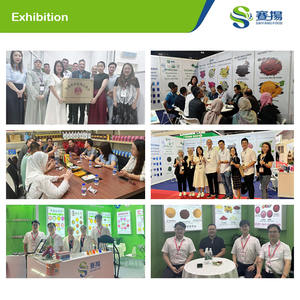 Pó CAS 3081-61-6 do extrato da folha de chá verde <span class=keywords><strong>L</strong></span>-<span class=keywords><strong>Theanine</strong></span> 98% <span class=keywords><strong>EGCG</strong></span> pó do extrato do chá verde <span class=keywords><strong>L</strong></span>-<span class=keywords><strong>Theanine</strong></span> - Product Image 3