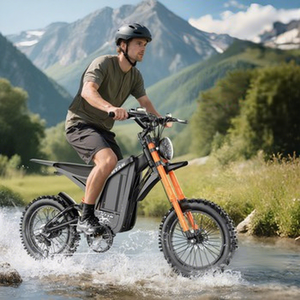 Motocicleta de Alta Potencia con Batería de Litio y Cuadro de Acero al Carbono, 48V3000W, Dos Ruedas de 16 Pulgadas, Velocidad de 60 KM/H, Forest - Product Image 1