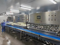 Nieuw ontwerp industriële grote schilmachine schillijnapparatuur Dragon fruit Mango schilmachine Vervangt 16 arbeiders