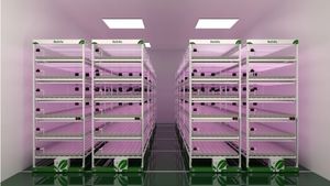 रीइन्फो कार्बनिक हाइड्रोपोनिक वर्टिकल फार्म किट-ईबीबी और प्रवाह कोई मिट्टी की आवश्यकता नहीं - Product Image 6