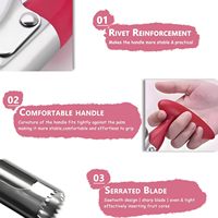 Professionele handmatige appelboor van roestvrij staal met ergonomische rode handgreep en gekarteld mesje, keukengereedschap voor thuisgebruik