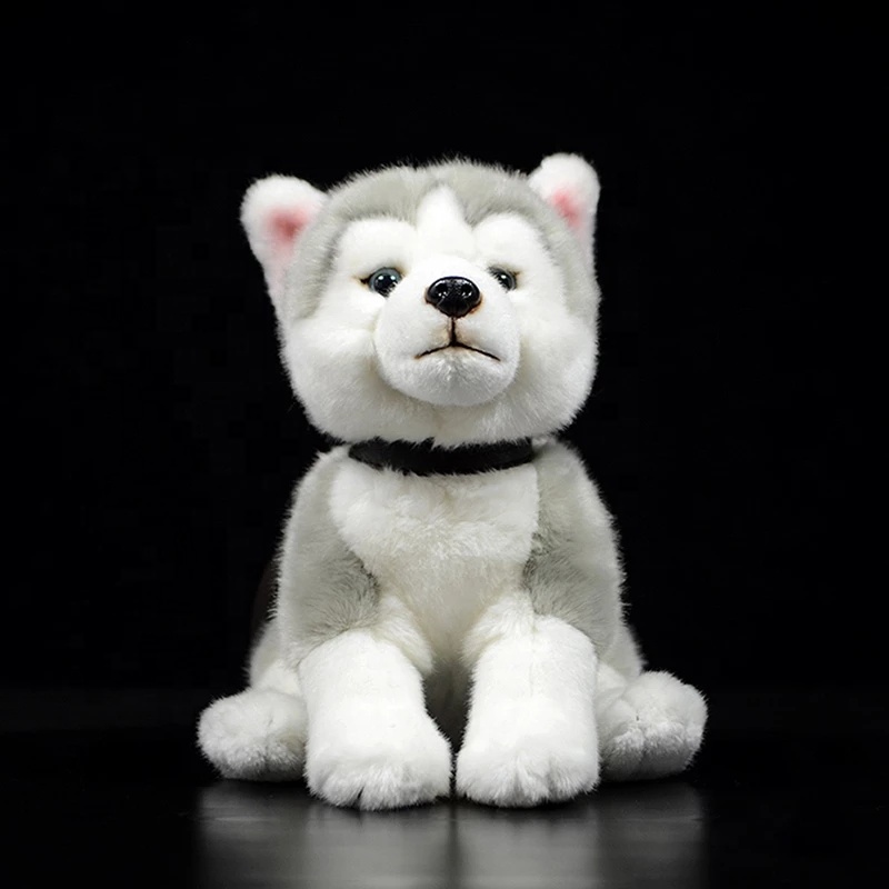 Bored Huskies Best Toys For A Husky Siberian Husky Price In Mumbai