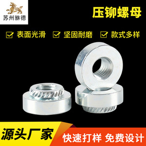 Stainless Steel Press Fit Nuts Metric <b>Thread</b> <b>Inserts</b> 8.8 Strength Grade A For General Equipment Manufacturing - Product Image 4