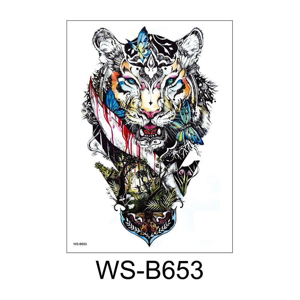WS-B653