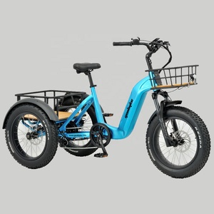 <span class=keywords><strong>Triciclo</strong></span> Elettrico Cargo a 3 Ruote con Pneumatici Fat da 48V 250W - Product Image 2