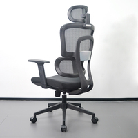 Chaise de bureau ergonomique professionnelle avec support lombaire et accoudoirs pour le travail de bureau et le bureau informatique