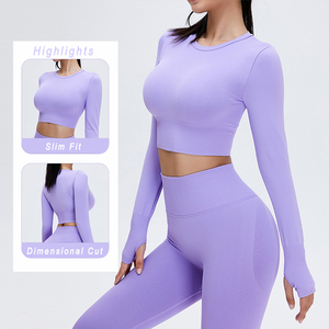 Venta al por mayor Señoras Gimnasio Fitness Deportes Entrenamiento Ropa de yoga Traje Activewear Mujeres sin costuras Tallas grandes Conjunto de yoga - Product Image 2