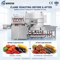 Machine à rôtir les légumes à flamme continue double face, machine à rôtir les piments et les poivrons avec bande transporteuse en acier inoxydable