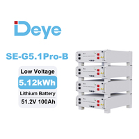 Deye SE-G5.1 Pro-B 51.2V 100Ah avec BMS intelligent, surveillez votre stockage de 5.12 kWh à distance