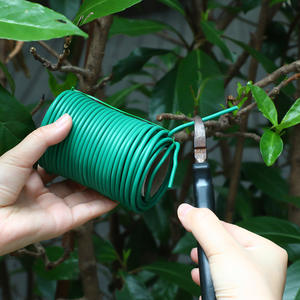 Câble de <span class=keywords><strong>fixation</strong></span> facile pour l'horticulture de jardin, câble en plastique pour plantes grimpantes, corde de soutien pour fixer les roses, fil de soutien pour attacher les fleurs - Product Image 1