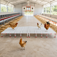 Caillebotis en plastique pour volailles, antidérapant, durable et ventilé, pour l'équipement des poulaillers de poulets de chair