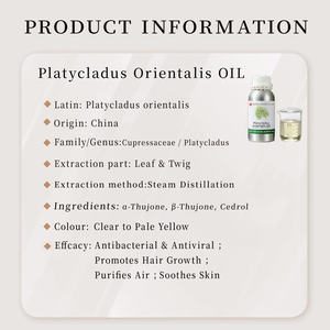 Minyak daun Platycladus Orientalis, perlengkapan bahan mentah tanaman pertumbuhan rambut kosmetik kelas minyak daun Arborvitae - Product Image 2