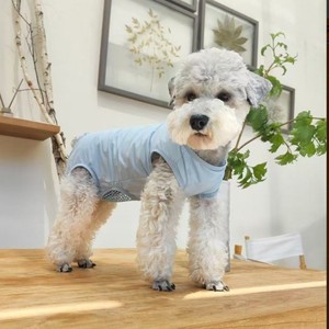 Dog Menstrual Pants Light Blue Breathable Polyester Diapers For Teddy Bichon Frise Post Operative Use - Product Image 1