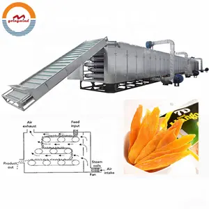 Linha de produção de mango seca automática, equipamento de processamento de plantas deshidratado cheio, máquina de secagem