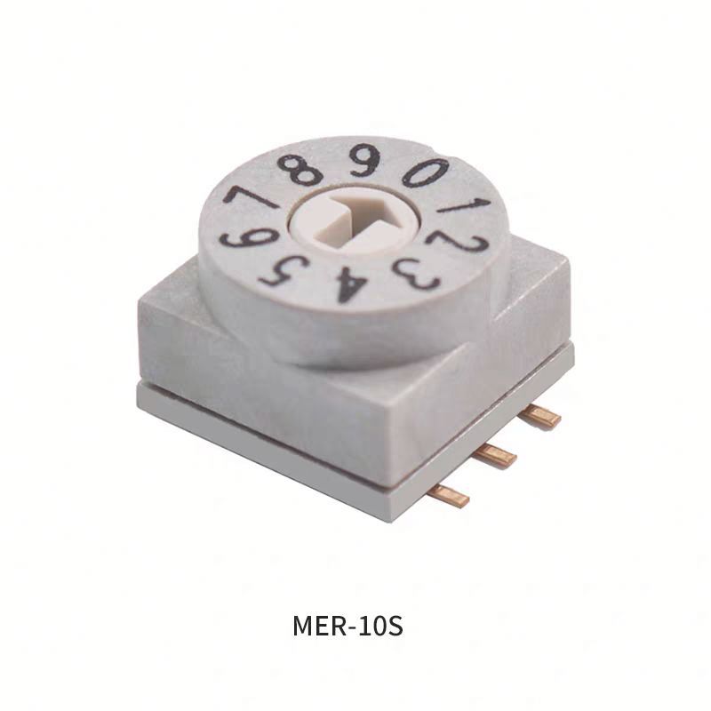 <strong>10</strong> <strong>Position</strong> DIP Plug <strong>Rotary</strong> <strong>Coded</strong> <strong>Switch</strong> Adjustable Digital Gear Selector Precise Circuit Configuration Reliable Panel Control