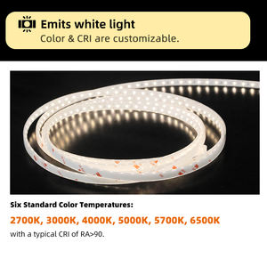 LFB1205 Kundenspezifisches, Zuschneidbares, Biegsames und Wasserdichtes DC24V LED-Neon-Lichtband aus Silikon für den Außenbereich, geeignet für Gehweggeländer - Product Image 5