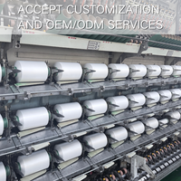 Cotton Like Stretch Yarn 32S Elastic Fake Cotton Yarn Full Dull 100% Polyester Chinese Factory Sales Circular Machine Use