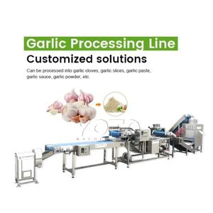 Machine de transformation de l'ail en poudre et de pelage à haute productivité pour usage industriel avec 6 mois de garantie - Product Image 1