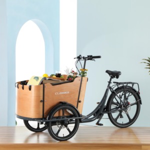 <span class=keywords><strong>Vélo</strong></span> cargo familial néerlandais à 3 roues, moteur arrière 250W, cadre en acier, capacité de charge élevée, Lastenrad, <span class=keywords><strong>vélo</strong></span> cargo - Product Image 5