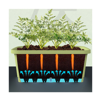 Pots de plantes en plastique auto-arrosants écologiques en forme de rectangle pour jardinière d'herbes et de légumes de jardin pour balcon à la maison