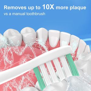 Tête <span class=keywords><strong>de</strong></span> <span class=keywords><strong>brosse</strong></span> <span class=keywords><strong>de</strong></span> rechange Cavzru compatible avec la <span class=keywords><strong>brosse</strong></span> à dents électrique <span class=keywords><strong>Philips</strong></span> <span class=keywords><strong>Sonicare</strong></span>, tête <span class=keywords><strong>de</strong></span> <span class=keywords><strong>brosse</strong></span> avec poils en nylon - Product Image 4