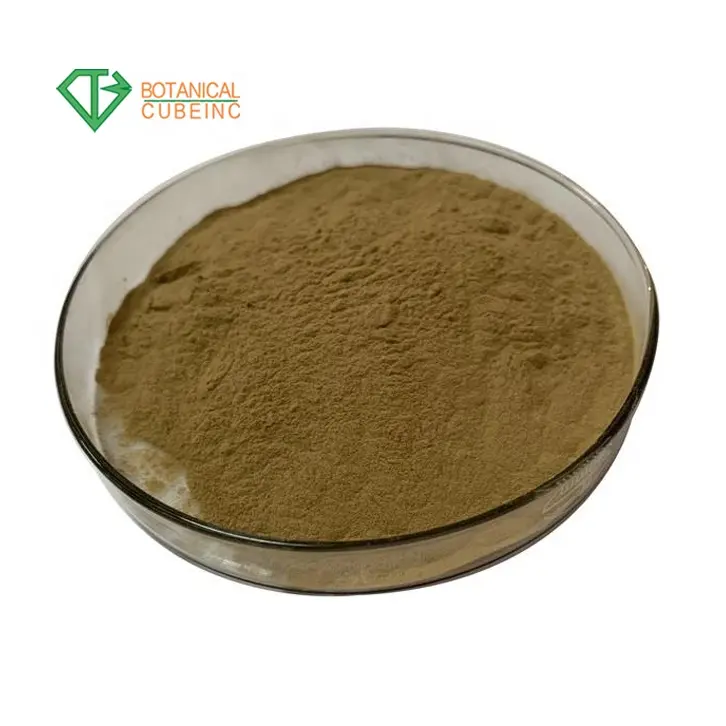 Extrato de arremesso puro cas 19210-12-9 natural, para venda, harpagophytum procumbens 5% harpagoside deviles