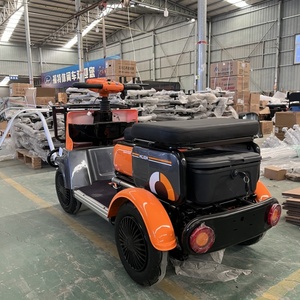 Triciclo Eléctrico Urbano de 600W, Fabricado en China, Nuevo, para Pasajeros, Scooter para Personas Mayores, Mini Auto de 4 Ruedas - Product Image 3