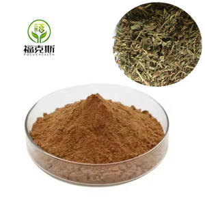 Japonicum üretimi tedarik tozu ortak Knotgrass <span class=keywords><strong>Polygonum</strong></span> <span class=keywords><strong>Aviculare</strong></span> özü - Product Image 1