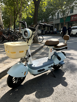 Vélo Électrique de Ville pour Adultes, Vente en Gros Usine, 350W 48V, Batterie au Plomb, Cadre en Acier à Haute Teneur en Carbone, Autonomie 55-65km, Deux Roues