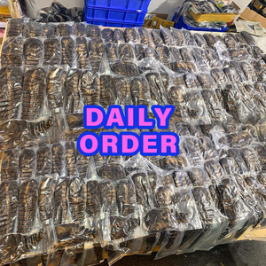 วิกผมแท้เวียดนามแบบไม่ผ่านการแปรรูป 15A ความหนาแน่น 250% พร้อมเชือกผูกผม HD Lace Frontal ขนาด 13*4  แบบธรรมชาติ <span class=keywords><strong>ผม</strong></span>หยิกแบบพม่า  วิกแบบไม่ต้องใช้กาว - Product Image 3