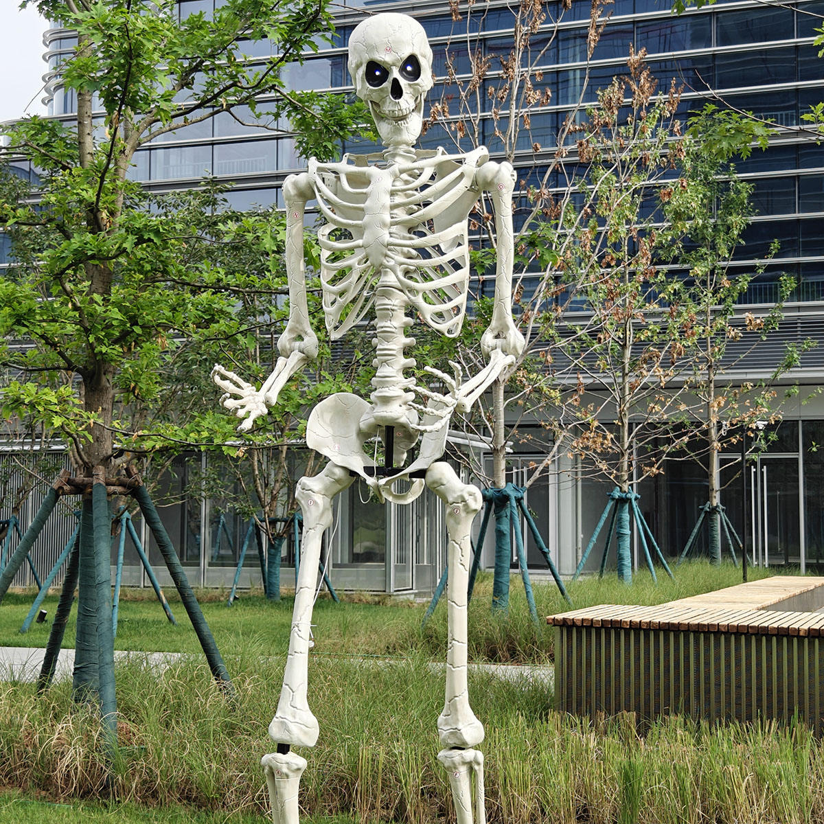 骸骨 ガイコツ スカル ドクロ 40cm ハロウィン 飾り 髑髏 置物 模型