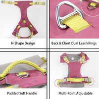 Harnais pour chien imperméable anti-traction, gilet pour chien durable et résistant à l'usure avec boucle réglable pour les sorties en extérieur