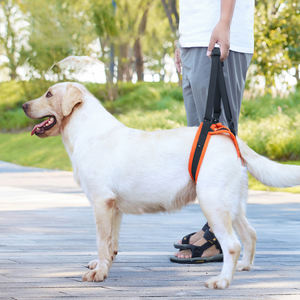 ชุดสายจูงสุนัขแบบพับเก็บได้ชุดสายจูงฝึกสไตล์การ์ตูนแบบเรียบง่ายทำจากโพลีเอสเตอร์ที่ทนทานกระดุมโดยตรง - Product Image 1