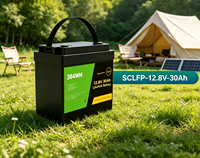 Baterai Solid State LiFePO4 Loxeny SCLFP-12.8V-30 30Ah 384Wh Smart BMS 6000+ Siklus Penyimpanan Energi Surya
