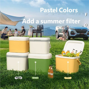 Customized Logo 5L/6L Modern <b>Portable</b> Eco-Friendly Refrigerator <b>Freezer</b> for Business & Corporate Gifts - Product Image 4