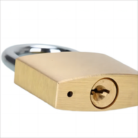 Petit cadenas 30MM personnalisé ou Standard en Chine Vente en gros de manilles sûres en acier Serrure en laiton de bonne qualité