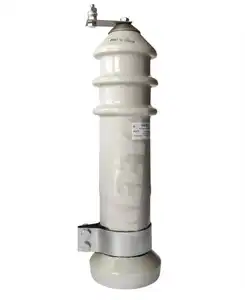 Keeya RVO-10U1 Housing Metal-oxide Surge Arrester silicone rubber clipsal types of building thunder Surge lightning arrester