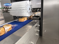 Machine à fabriquer des biscuits sandwich Skywin et machine d'emballage en forme de coussin 530S