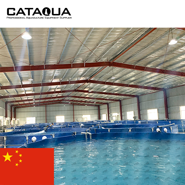 Cataqua Куньмин проект Крытый рыбоводческого хозяйства аквакультуры, Китай (материк) рыбы тилапии откладки яиц