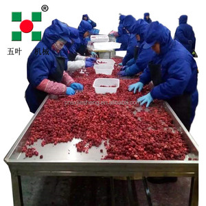 Công nghiệp liên tục công suất cao trái cây dây chuyền chế biến sản xuất trái cây đóng băng thiết bị trái cây dây chuyền sản xuất - Product Image 6