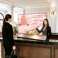 Pantalla Digital OLED Transparente Ultrafina de 55 Pulgadas con Soporte para Centros Comerciales, Educación, Animación, Gráficos, Full HD