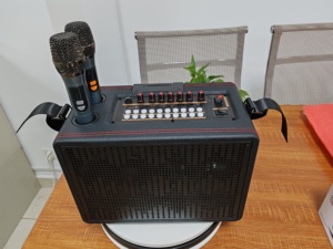 14.1 Inch Lật Thông Minh Karaoke Vuông Khiêu Vũ HD Hiển Thị Di Động Wifi Trực Tuyến Chơi Youtube Video Máy Nghe Nhạc Âm Thanh - Product Image 5