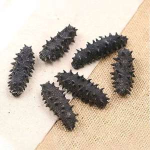 Высококачественный сушеный замороженный лысый морской огурец свежий стиль лучшие рыночные цены натуральный оптовик упаковка - Product Image 3