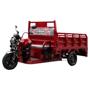 High Performance Driven Open-Air Cargo Tricycle Easy-to-Maneuver Affordable Solution for adult Freight Needs