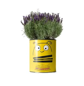 Kits de plantation en gros, pots personnalisés, kit de culture de plantes à <span class=keywords><strong>faire</strong></span> soi-même, kit de plantes d'intérieur, pot à herbes, cadeau de jardinage pour enfants - Product Image 1