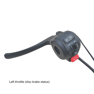Double flash <span class=keywords><strong>de</strong></span> la poignée <span class=keywords><strong>de</strong></span> régulation <span class=keywords><strong>de</strong></span> <span class=keywords><strong>vitesse</strong></span> intégrée <span class=keywords><strong>de</strong></span> l'ensemble <span class=keywords><strong>de</strong></span> commutateur pour <span class=keywords><strong>moto</strong></span> électrique - Product Image 4