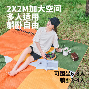 เสื่อปิกนิกกลางแจ้งรูปสี่เหลี่ยมผืนผ้ากันน้ำลายแมวสีสันสดใส ดีไซน์สีสันตัดกัน ใช้ได้ทุกฤดู น้ำหนักเบา พกพาสะดวก - Product Image 2