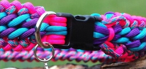 Nuevo <span class=keywords><strong>Collar</strong></span> Trenzado Ancho de Poliéster Duradero con Hebilla para Perros y Gatos, Pequeño, Moderno y Resistente, para Paseo y Entrenamiento <span class=keywords><strong>2026</strong></span> - Product Image 5