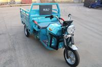 Tricycle électrique de livraison pour hôtels, restaurants, services hôteliers et transport en zone côtière